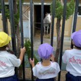 年少遠足・阪神競馬場