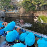 年中王子動物園遠足