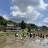 父の会田植え