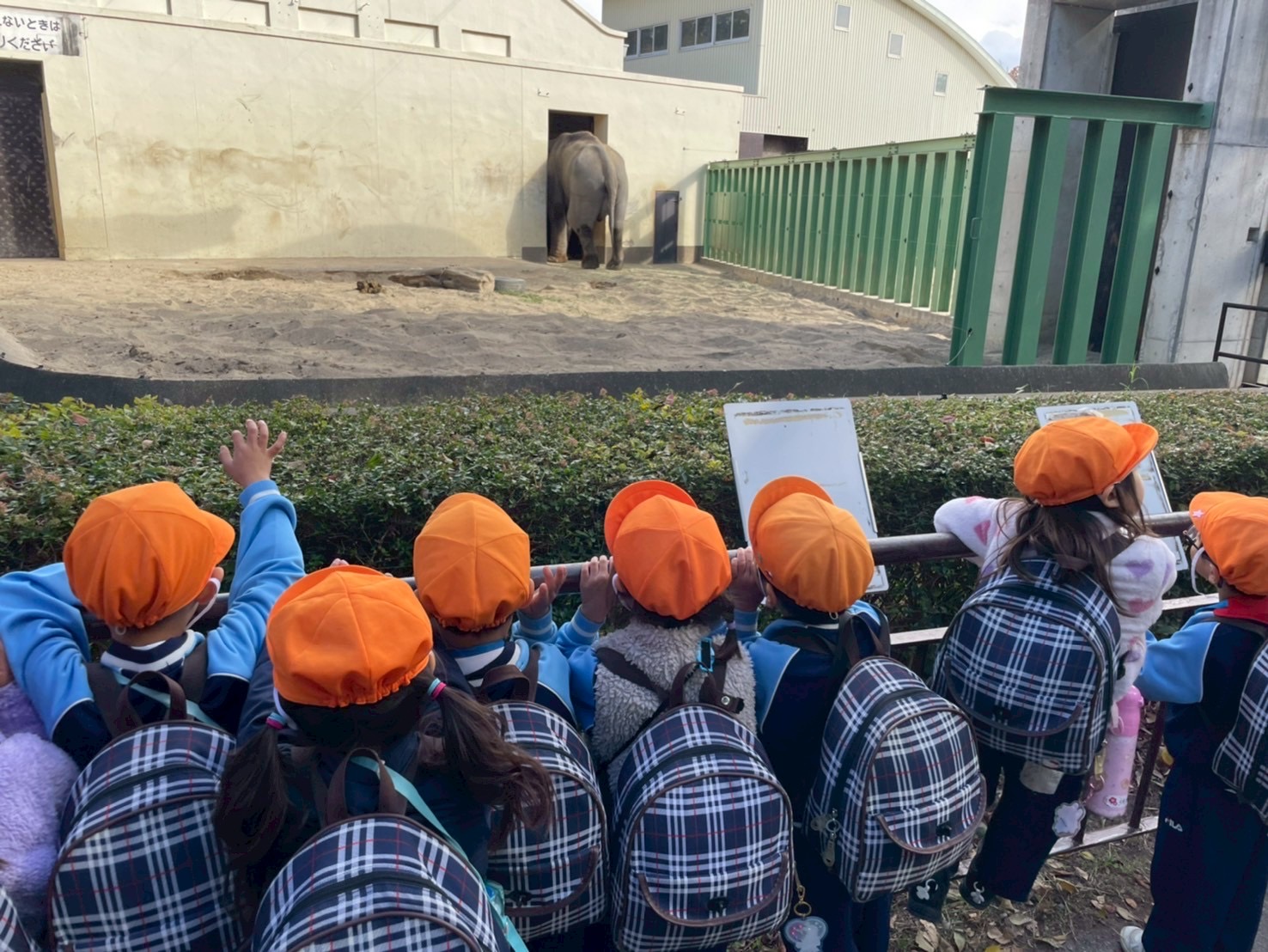 【年中遠足】王子動物園